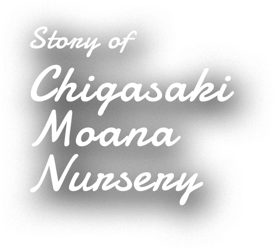 story of chigasaki moana